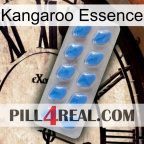 Kangaroo Essence 22